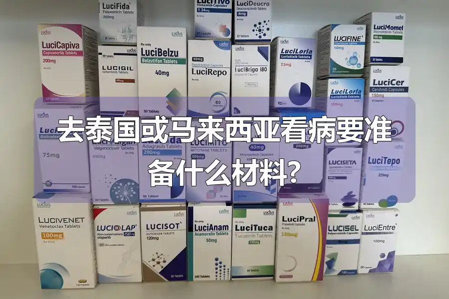 去泰国或马来西亚看病要准备什么材料?